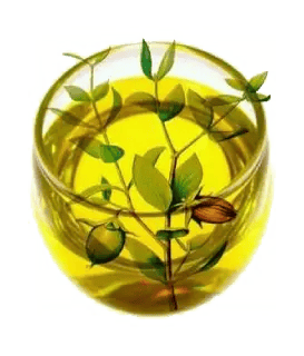 Jojoba oil